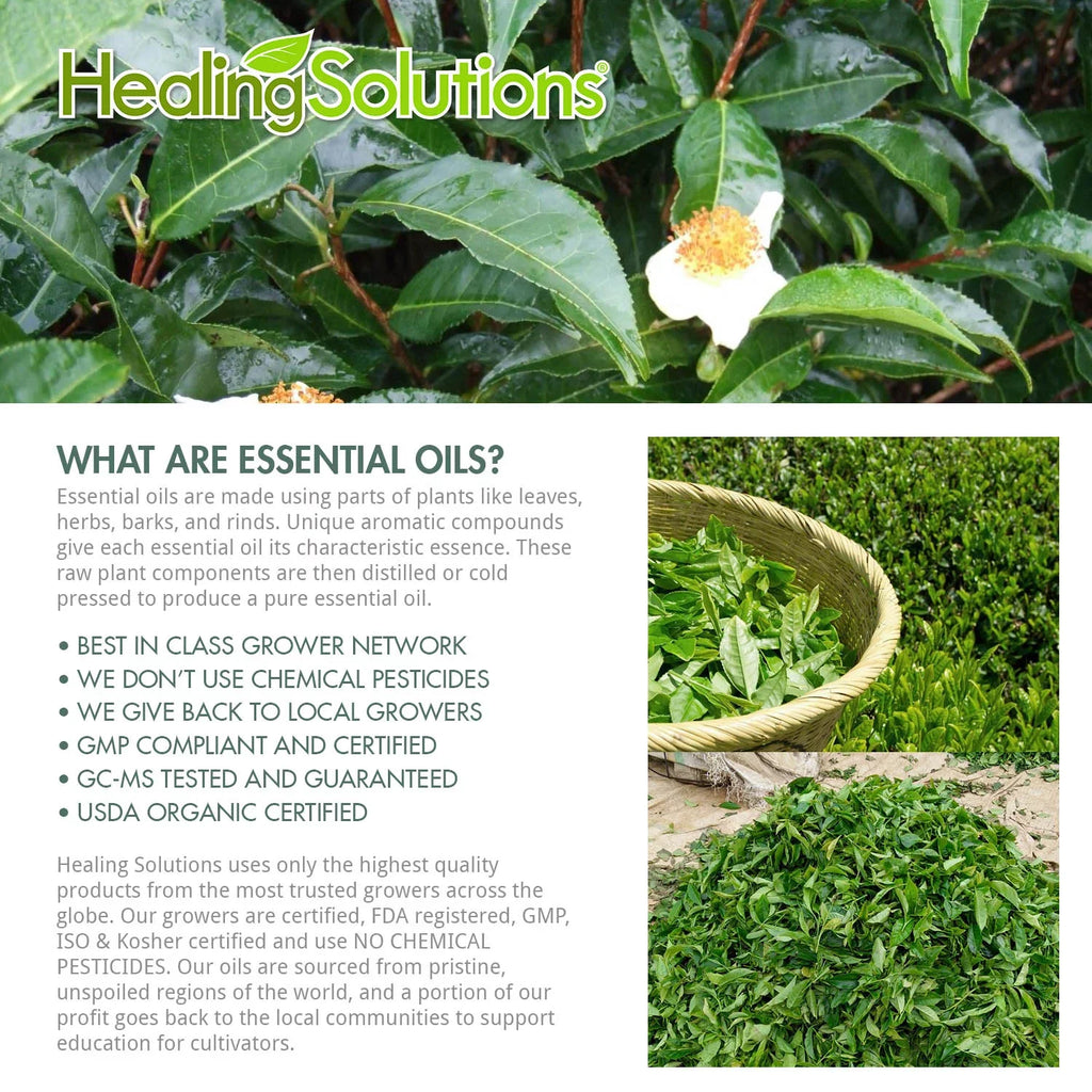Oil Essential Solutions Oil Tea Tree 60ml/2oz Best - Grade - (60ml) Therapeutic Pure, 100% Healing
