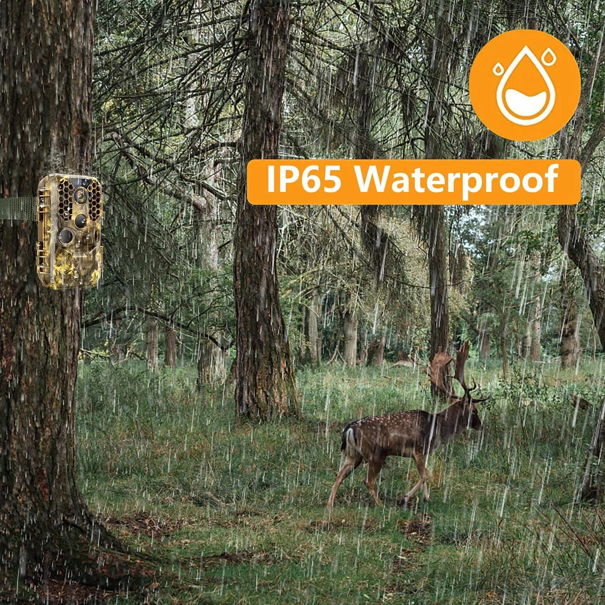 Game Camera Activated Night & Picture Phone View Hunting for Waterproof Photo Video Cell Wireless 30MP Trail & Home Lapse Security, Wildlife on Motion Real Video Vision 4K Time WiFi &