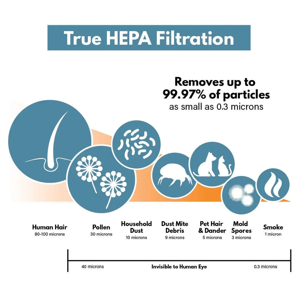and FLT5000 4 Pack Carbon dimension - – 2 Carbon Filter HEPA Filter Purifier Compatible Replacement GermGuardian with Filter-Monster 8 HEPA Filter Set, with C Air Pre-Filters