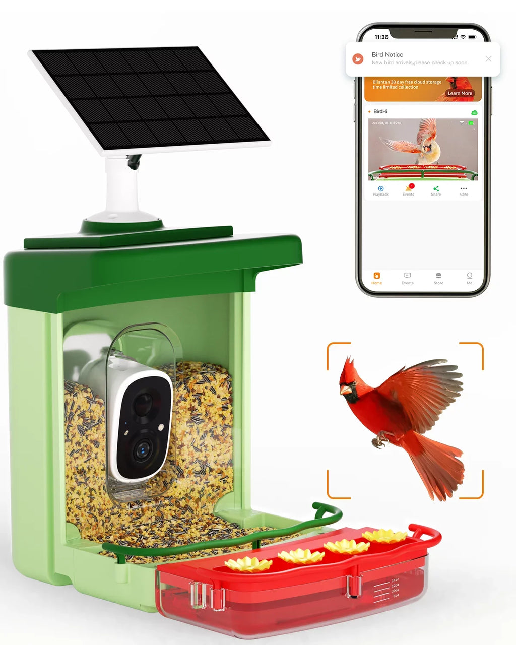 Gift Auto Species, Bird 3MP AI of Feeders Ideal with with 1 Birds Camera Feeder with Camera, Anyone Bird HD Identify Hummingbird for 2 Unique Camera, Capture in Close-Ups