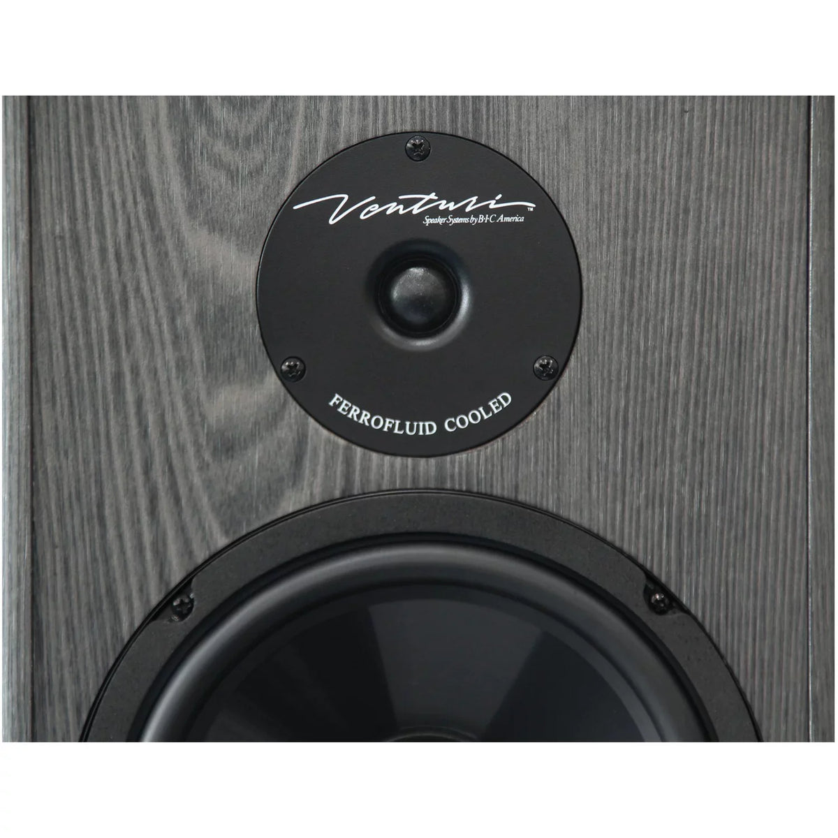 Tower America 200-Watt Speaker 2-Way BIC