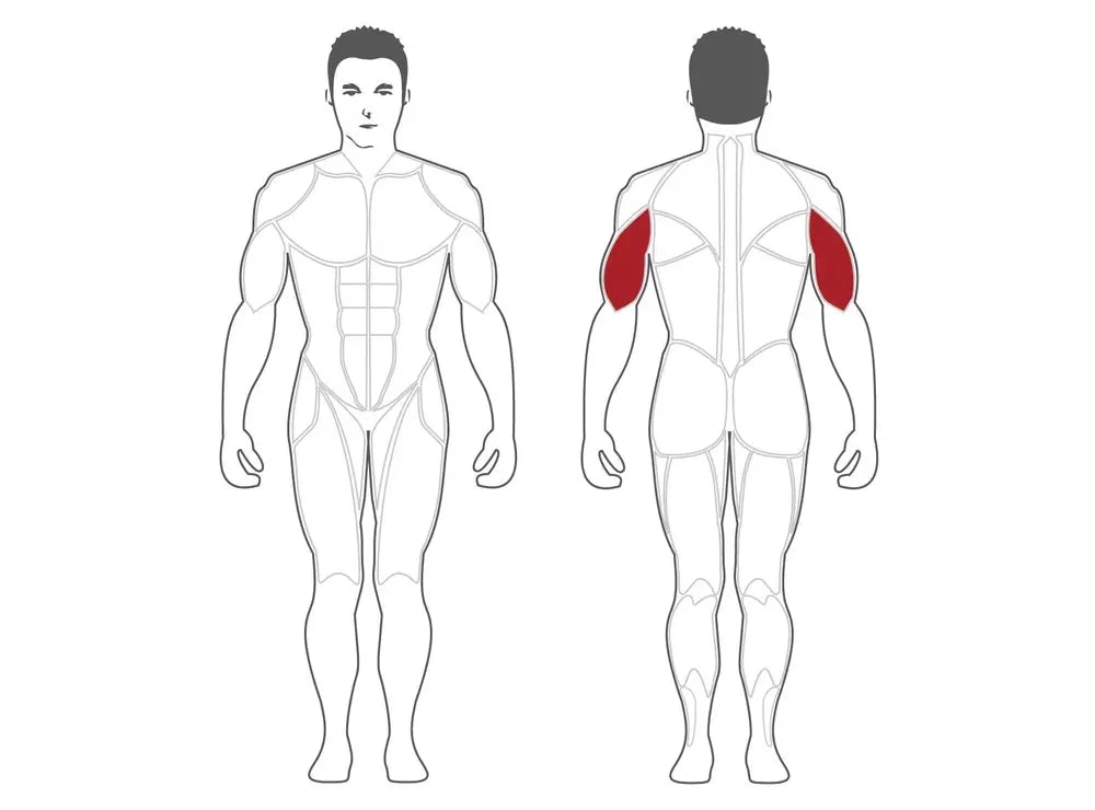 (PLTE) Machine Extension Tricep SteelFlex