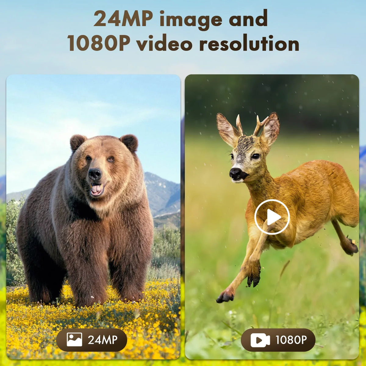 24MP Trigger 2500mAh Camera Motion Camera Battery Built-in Trail Cam 1080P with 120°Wide Vision IP66 Waterproof Hunting Activated Solar Speed 0.1s Night Lithium CAMPARK Game Angle Rechargeable