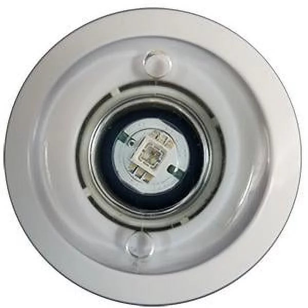 FLED-TM-C-50 Light, 50 ft Accent S.R. LED Cord, Red/Blue/Green, Micro Smith Treo