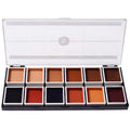 Palette Makeup Cosmetics Dark Color Alcohol 12 Makeup Tone - Flesh for Dark Waterproof Narrative Artists Flesh Special Tone Activated Effects Professional for Makeup