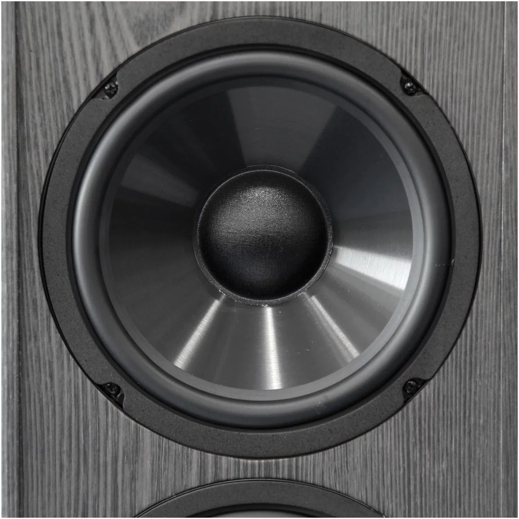 Tower America 200-Watt Speaker 2-Way BIC