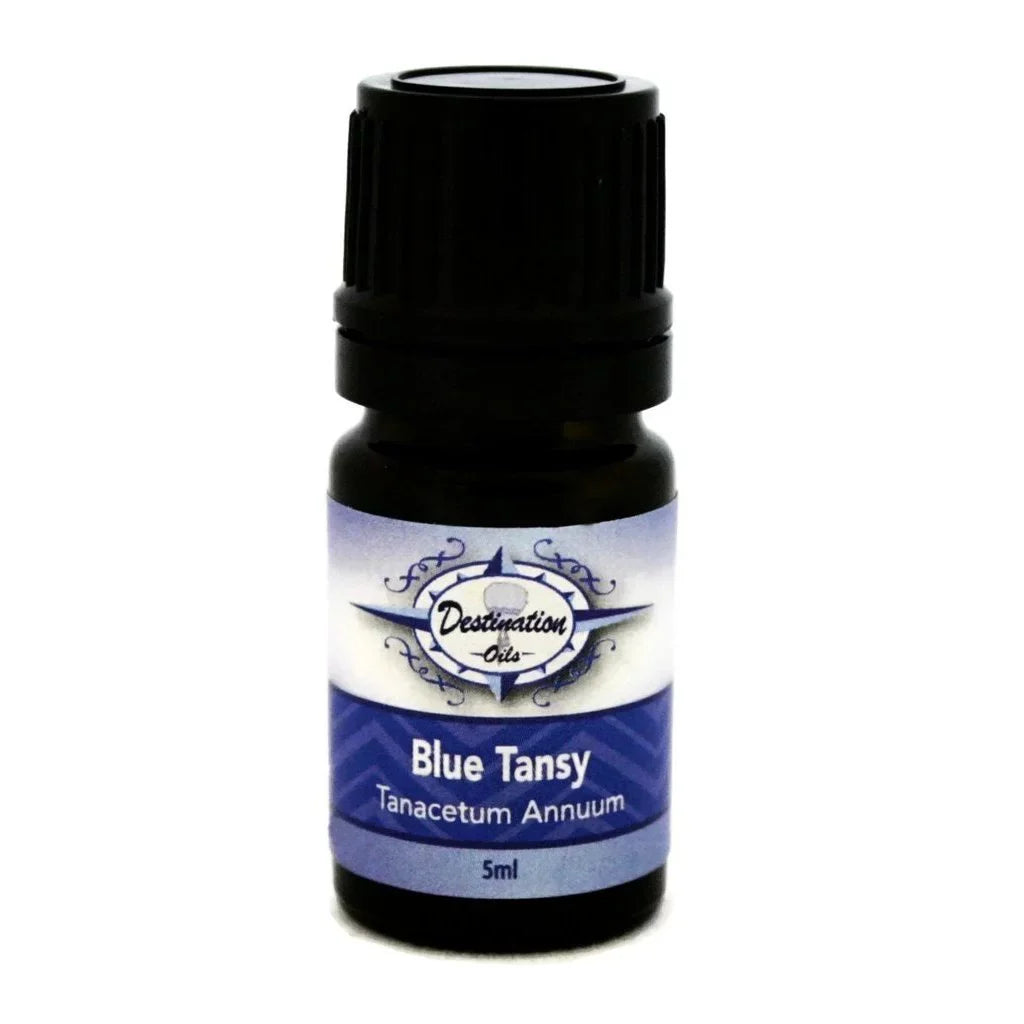 Blue dilution Essential Destination Tansy Oil 50/50 5ml Oils