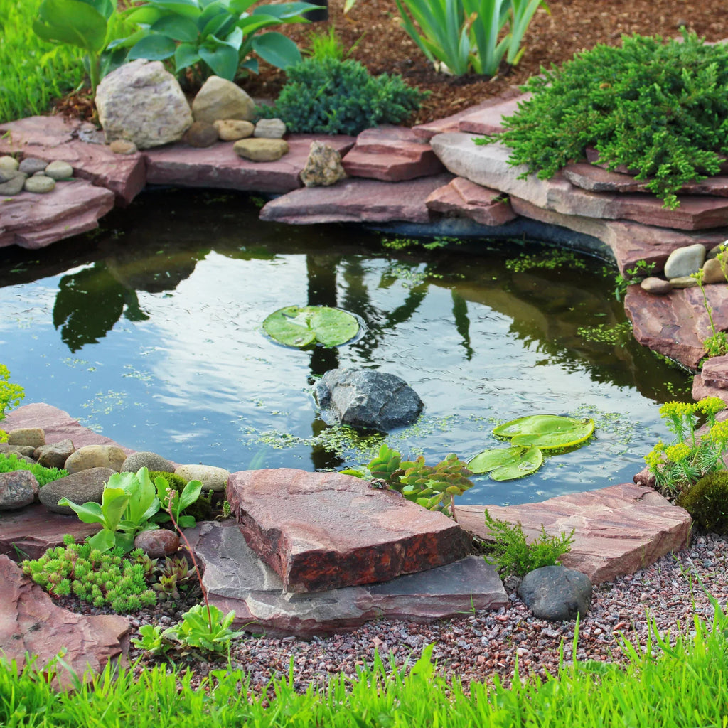 16" filter Large Ponds HALF 32 UV and liquid - watt HOUVSKIM64 Skimmer Gardens (2) for Clarifiers OFF PONDS with