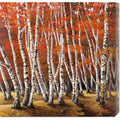'Bosco Stretched betulle I' Canvas Adriano Galasso di