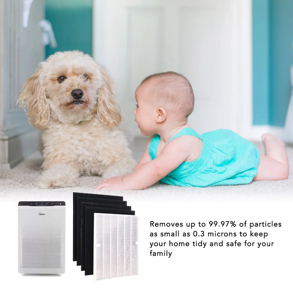 115115 Winix for Hepa for and 5500 A Filter 5300-2, (1 Replacement C535, Filter 6300-2,P300, 5300 Set)