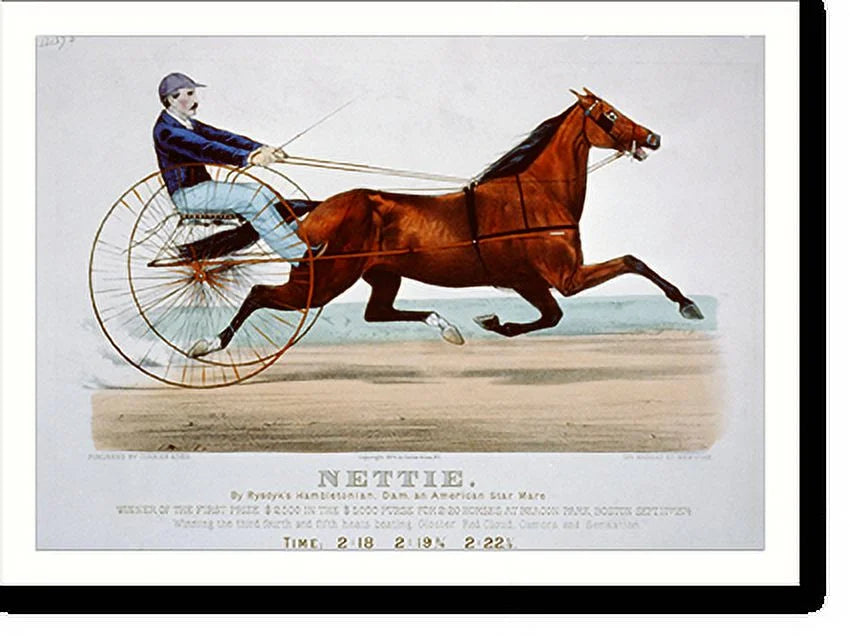 21-7/8" mare, Nettie: Rysdyk's Historic Hambletonian, by x and Framed star dam, 17-7/8" Print, American