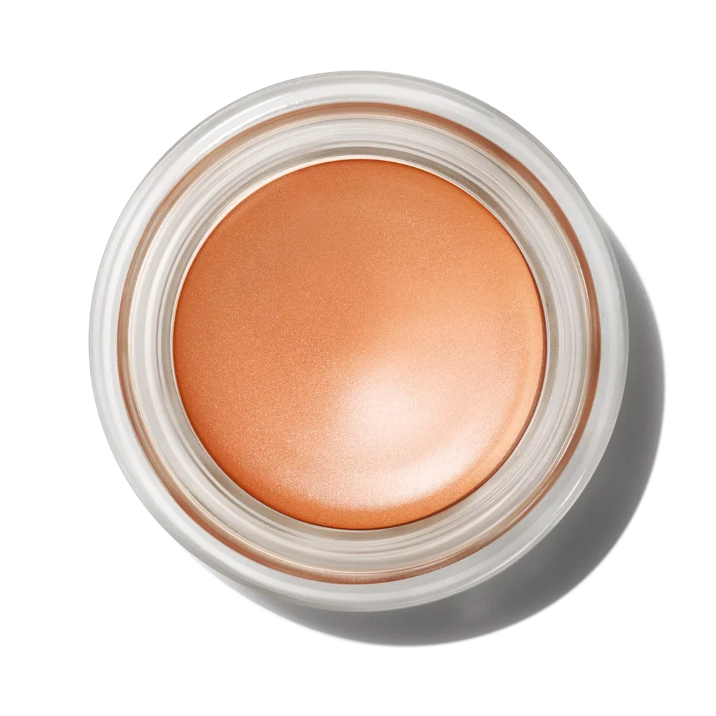 EYE LOW SHADOW PAINT COSMETICS/PRO LONGWEAR | MAC POT WT OZ LONGWEAR 0.17 COSMETICS LAYIN' MAC |NET /5.Oml PRO