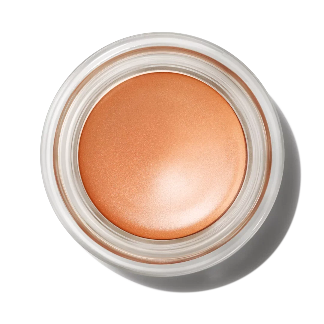 EYE LOW SHADOW PAINT COSMETICS/PRO LONGWEAR | MAC POT WT OZ LONGWEAR 0.17 COSMETICS LAYIN' MAC |NET /5.Oml PRO