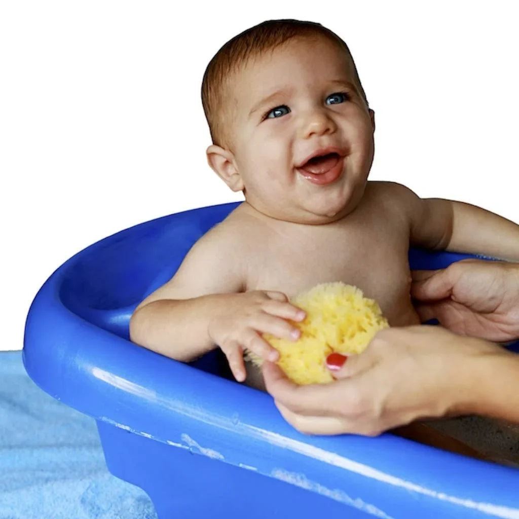 Natural 1 Count Works Sea Textured Sponge Baby Body Sponge, Yellow, Buddy Exfoliation, for Cradle for 4in, Cap, Grass