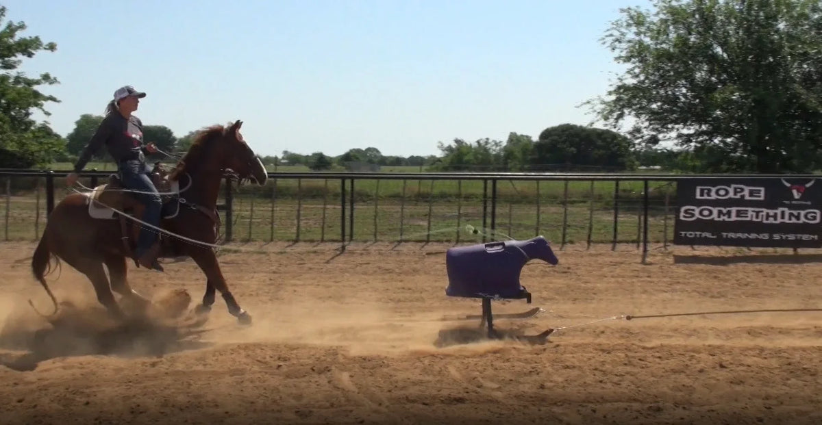 Dummy Calf Sled- Something 7K Calf without