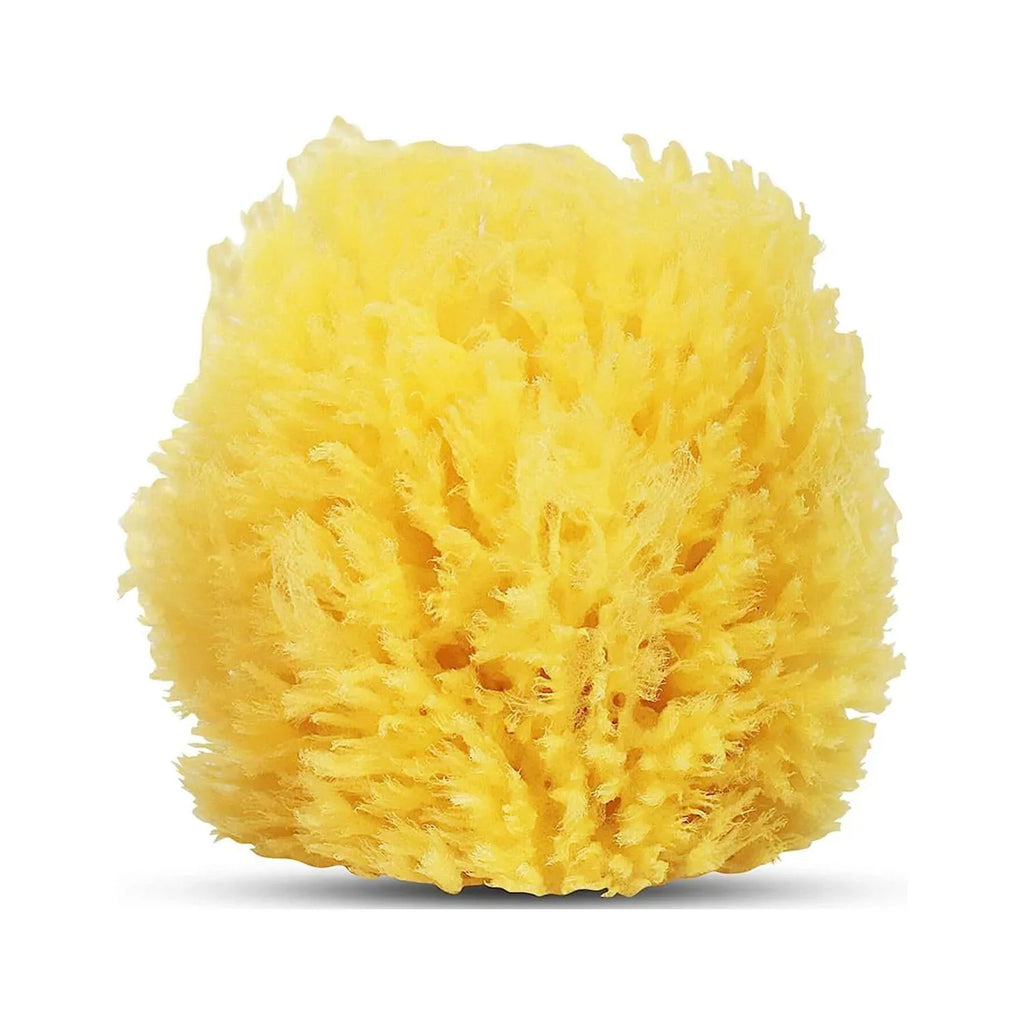 Natural 1 Count Works Sea Textured Sponge Baby Body Sponge, Yellow, Buddy Exfoliation, for Cradle for 4in, Cap, Grass