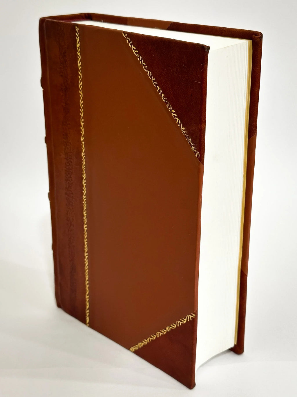 Vitae Nostrae Mysteriis B.V. Omnium Christi; (1623) D.N. Ex Iesu Fidei Breuiarium Seu Opere Maiori Passionis De Ac Mariae Meditationum Et Precipuis Bound] [Leather Compendium Etc. Absolutissimum