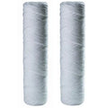 Replacement House Filter Package 2-Pack liquid Of RS2DS Cartridge OmniFilter Whole 6