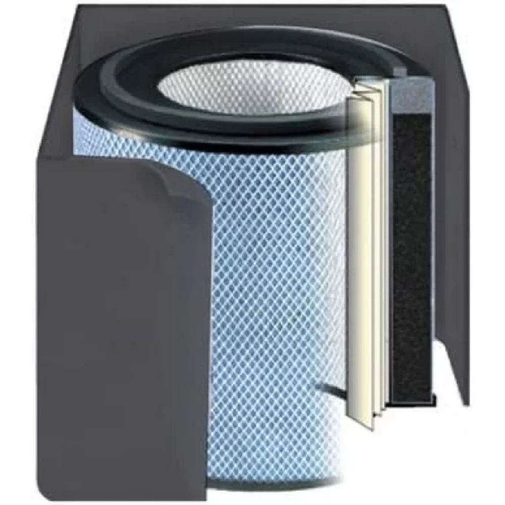 Austin 1 Purifier, Health-Mate Black Air FR400A Air Filter Standard,