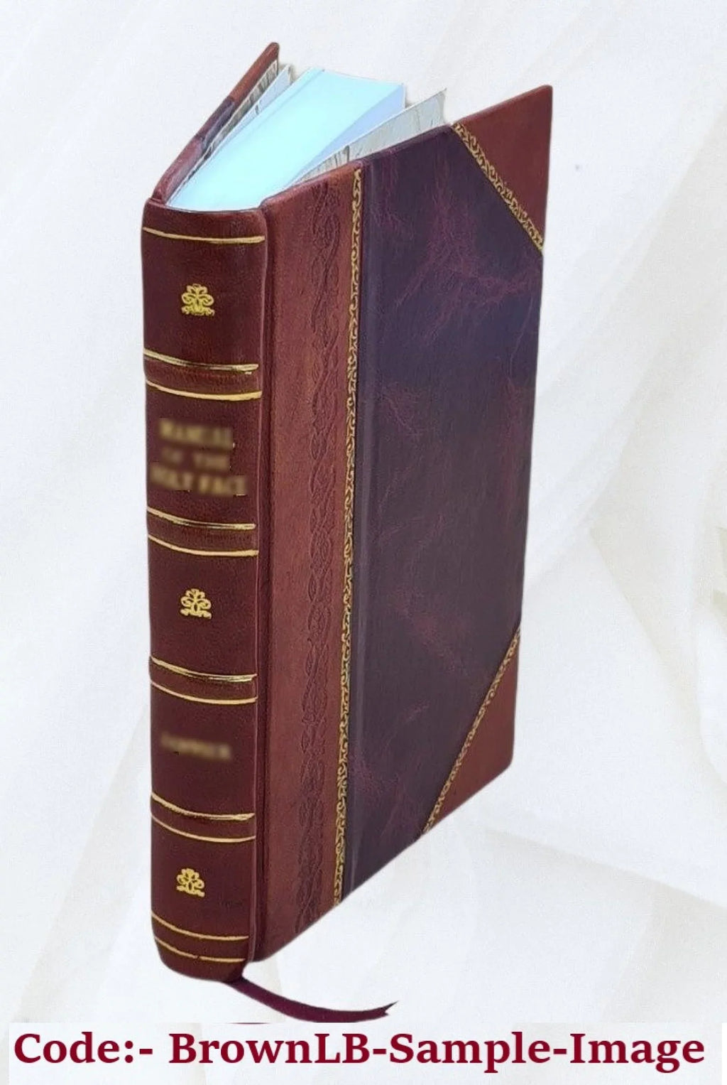 und bearbeitet fasslichen von : Darstellung besonderer einer Machat's und und J.B. Französische neuen mehreren neu Rücksicht Gelehrten für sehr Kenn mit in ganz : verbessert : sprachlehre Ansänger