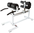 Developer STS York Machine Ham Glute