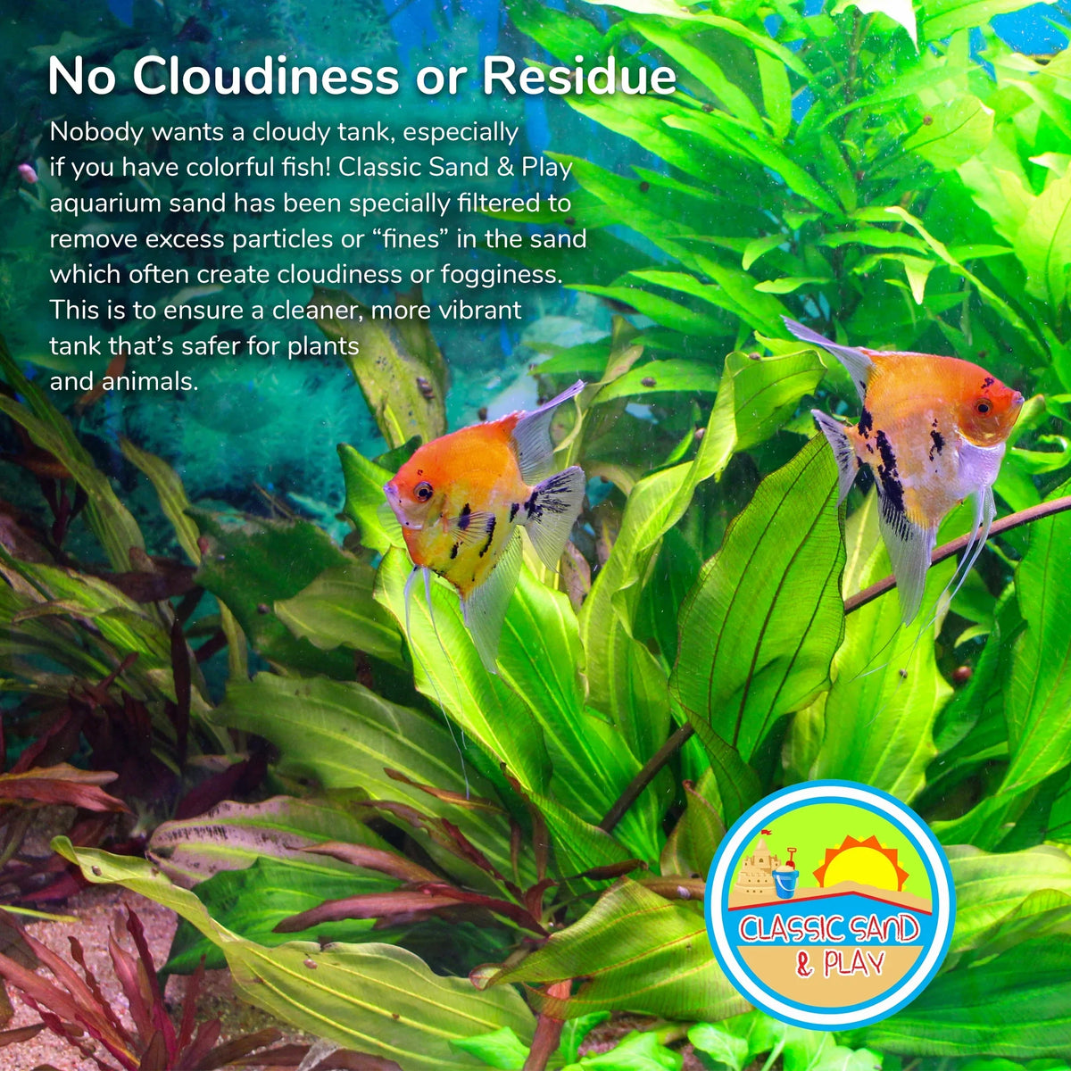 Aquarium & lb. 40 and Tanks, Freshwater for SAND Sand Yellow Natural CLASSIC PLAY Saltwater