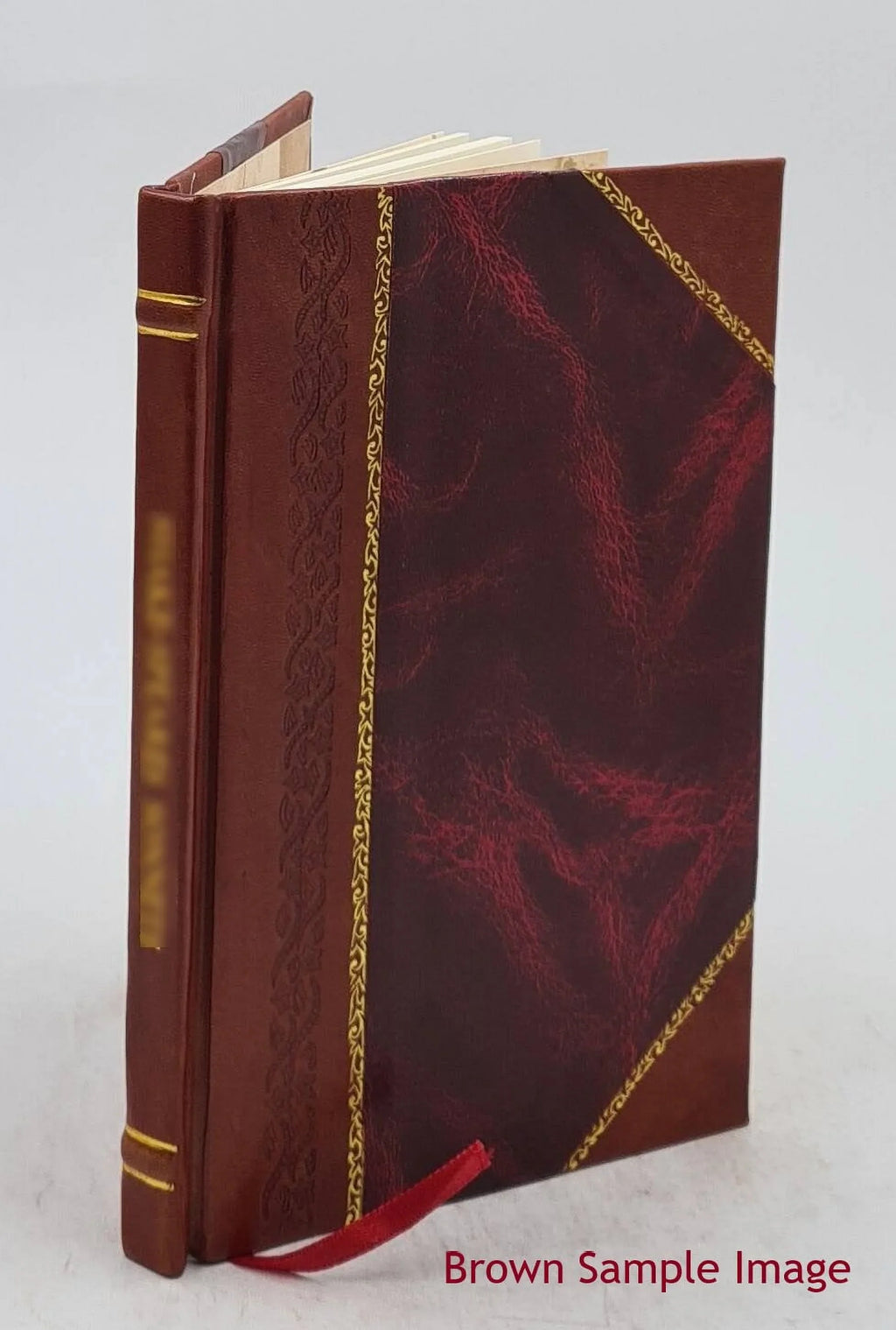 e in le [Leather 1890 fac-simile Bound] da Leonardo Con Alpi. Vinci carte antiche 7