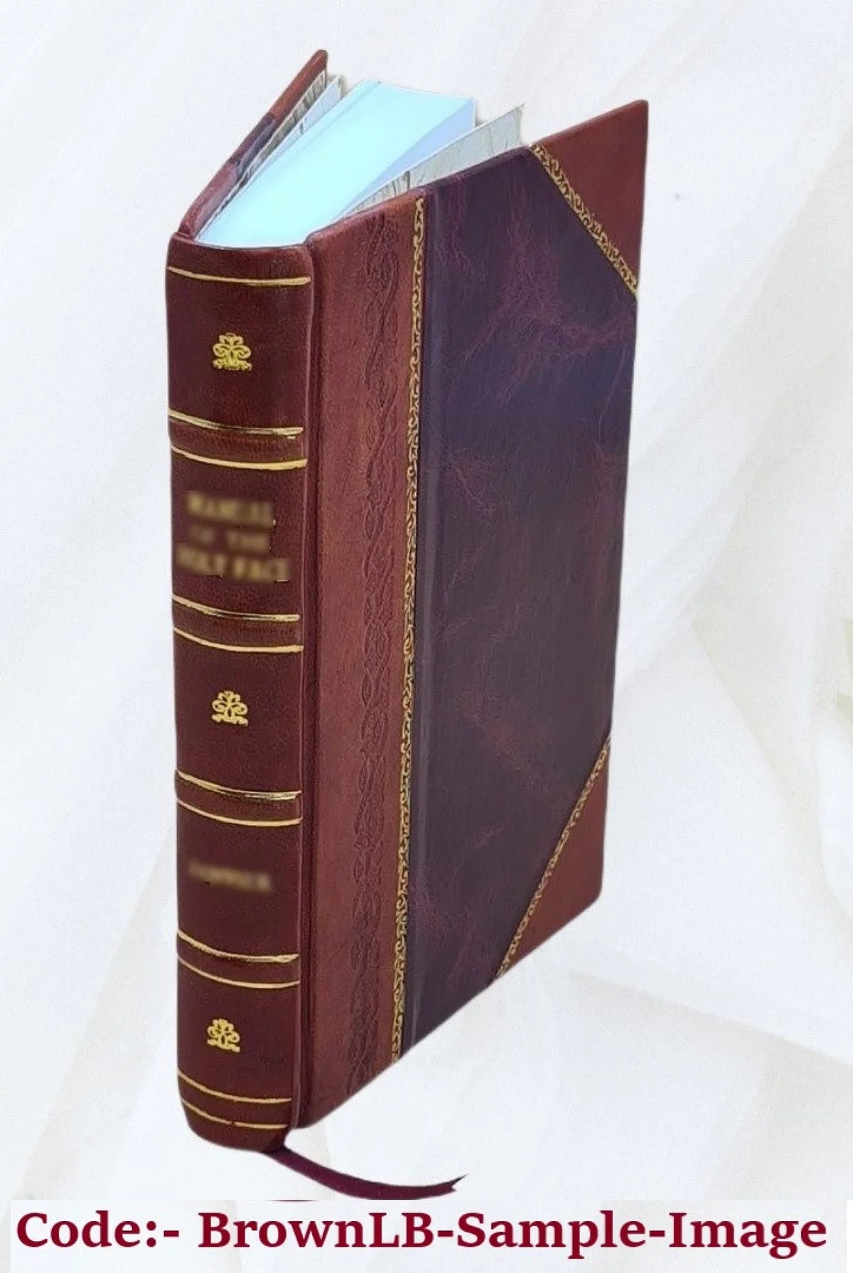[Leather : Troubetzkoy) Bound] ... ghost ; George / novel by a with a The (Princess garden W. Hood. 1918 Amélie Rives frontispiece by