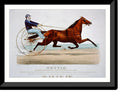21-7/8" mare, Nettie: Rysdyk's Historic Hambletonian, by x and Framed star dam, 17-7/8" Print, American