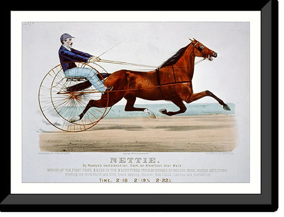 21-7/8" mare, Nettie: Rysdyk's Historic Hambletonian, by x and Framed star dam, 17-7/8" Print, American