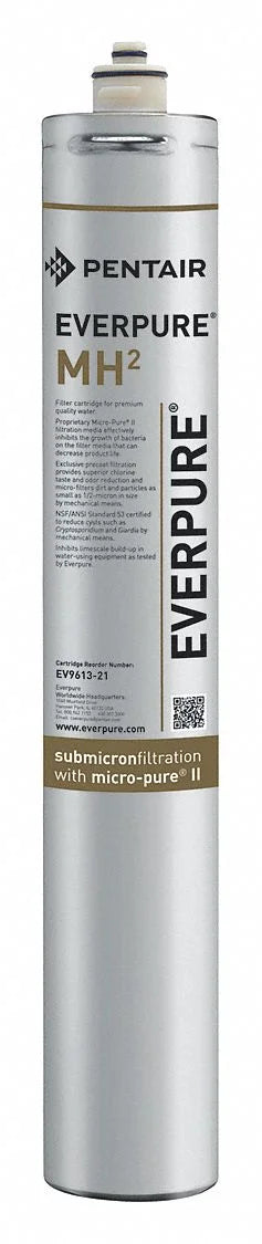 Filtration EV961321 Cartridge Everpure liquid System