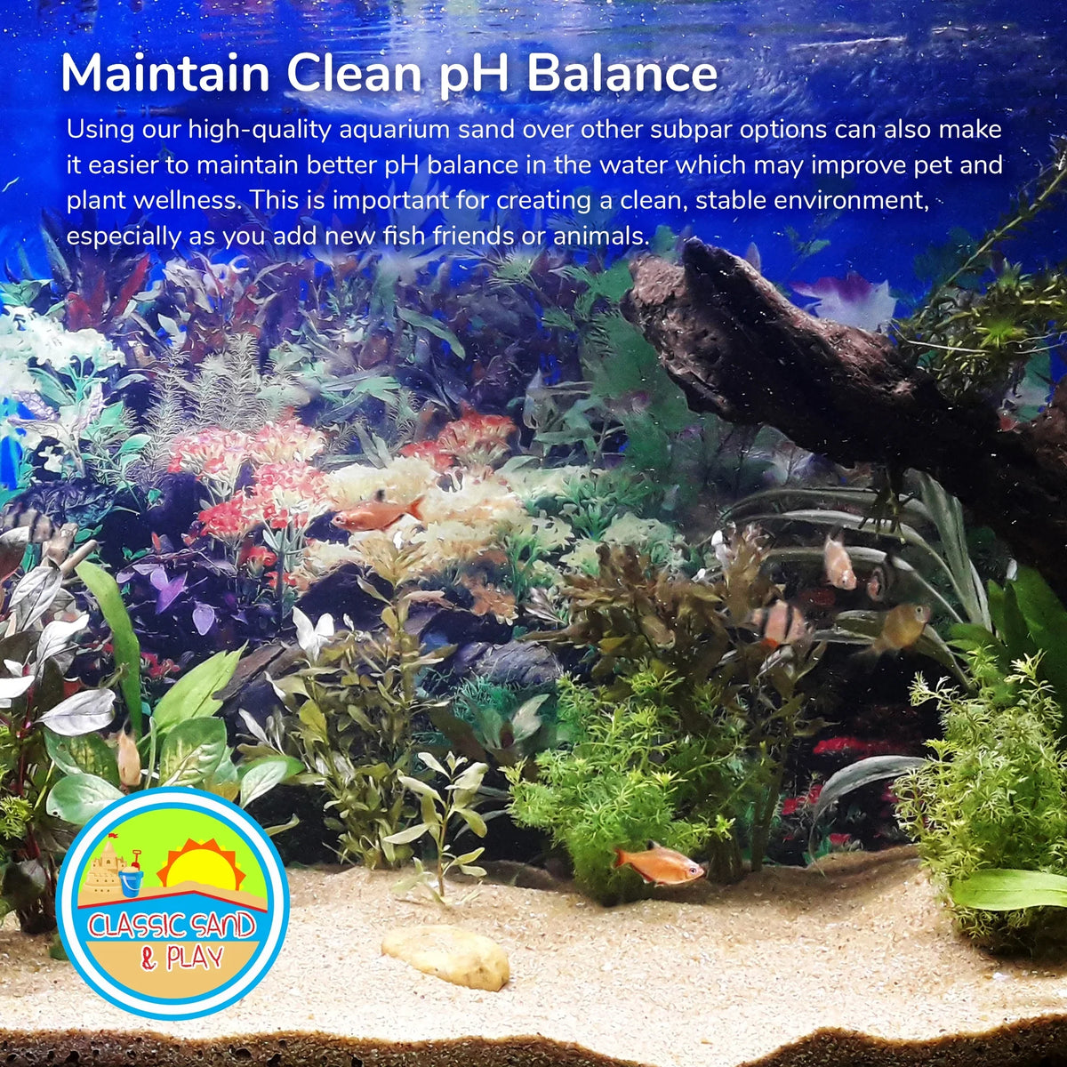 Aquarium & lb. 40 and Tanks, Freshwater for SAND Sand Yellow Natural CLASSIC PLAY Saltwater