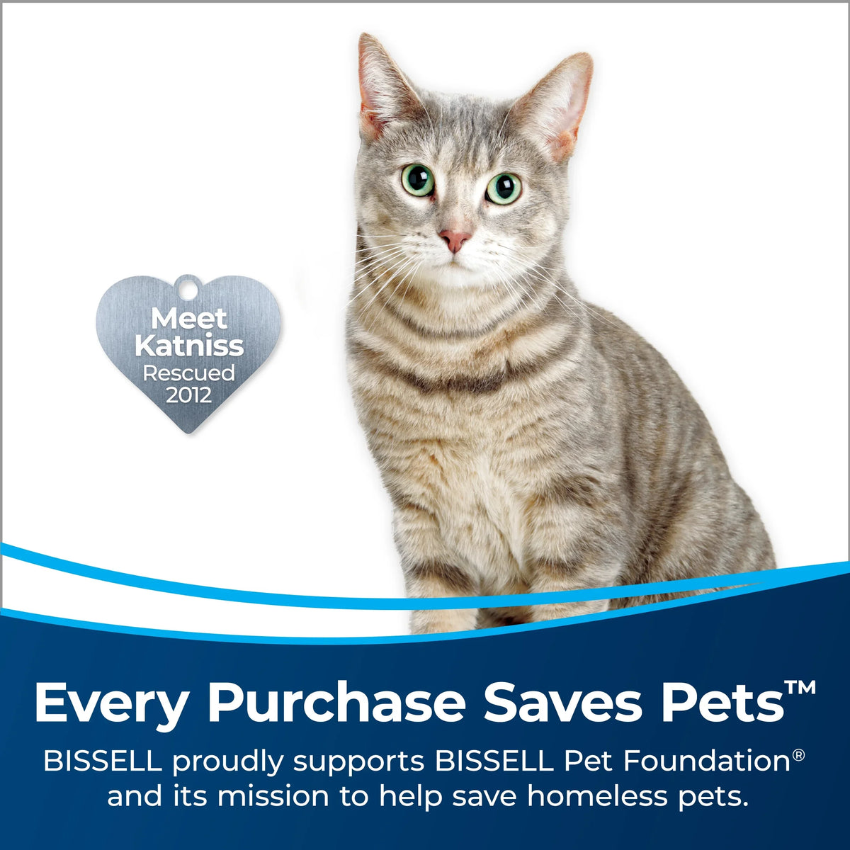 up Plus, rooms sq. ft., to for BISSELL MYair 100 3179A