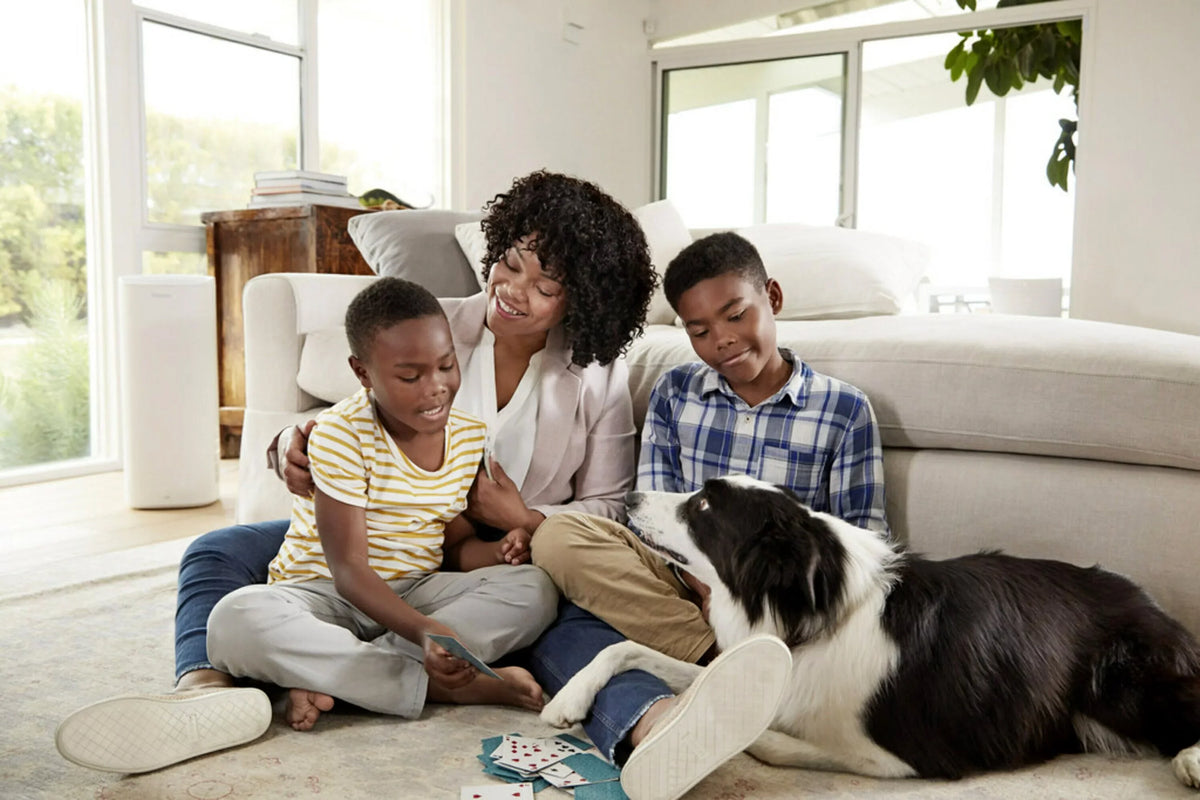 inch Furnace Filter, x 1 Filtrete HVAC 2200 x Filter and 1 MPR, 20 Allergen & Premium 25 Home Pollutants Smart Air