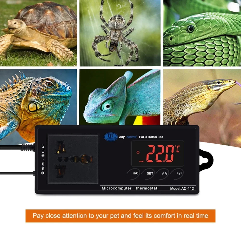 Reptiles Home Thermostat Controlled Green Incubation Digital Temperature Outlet Thermostat Cooling Chest Heating Controller Freezer Lepmerk Mode House & with Plug Reptile for Brewing -40℃~110℃